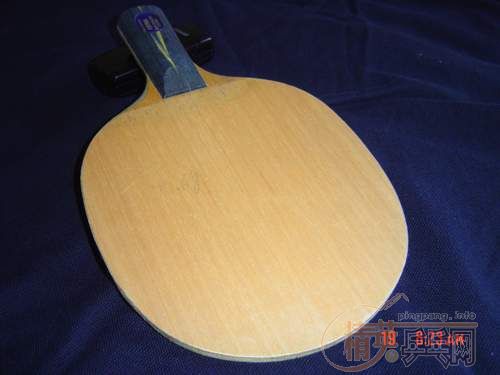 ת��ŷ��TO 250�͹���YE 220 �����