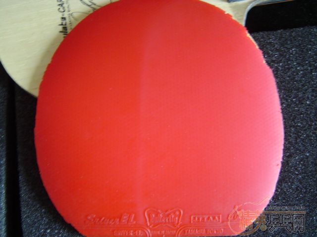 ȱǮ��˦�Լ���BOLL STһ�� 530Ԫ