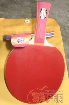 Nittaku��ŮȨ���壬499�����ʣ�