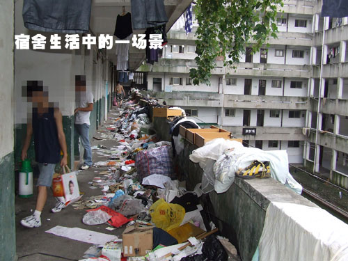 ʷ����ǿ����������!!����:����ۿ�