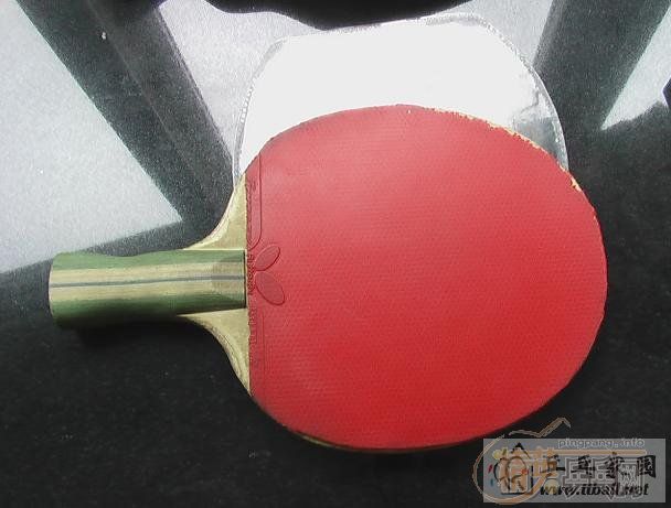 �������������JOOLA-KOOLֱ�ļ����Ž�Ƥ