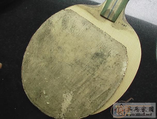 �������������JOOLA-KOOLֱ�ļ����Ž�Ƥ