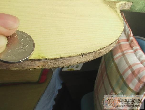 �������������JOOLA-KOOLֱ�ļ����Ž�Ƥ