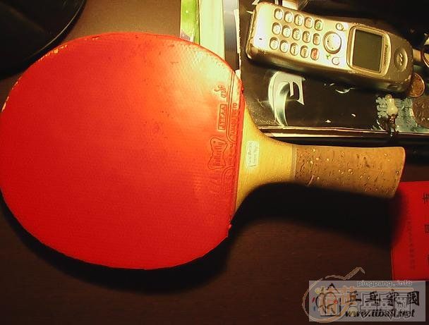 �������������JOOLA-KOOLֱ�ļ����Ž�Ƥ