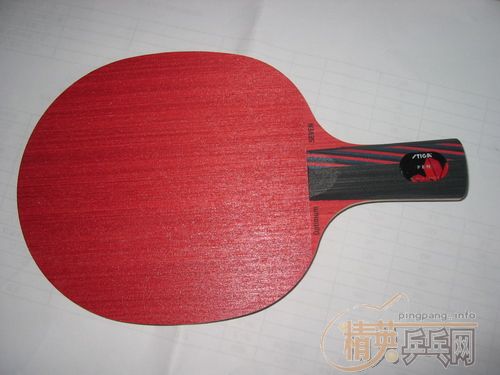 �ٳ���ֻStiga  ��ˮ��  ֱ�壨˿������