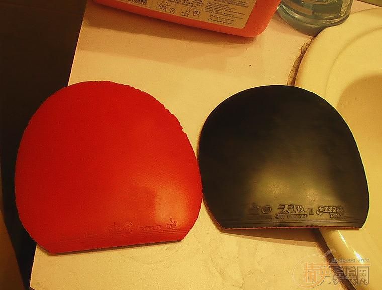 �������������JOOLA-KOOLֱ�ļ����Ž�Ƥ