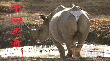 [��ͼ]����ͼ