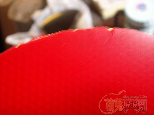 �������ɭ������ľ̼��