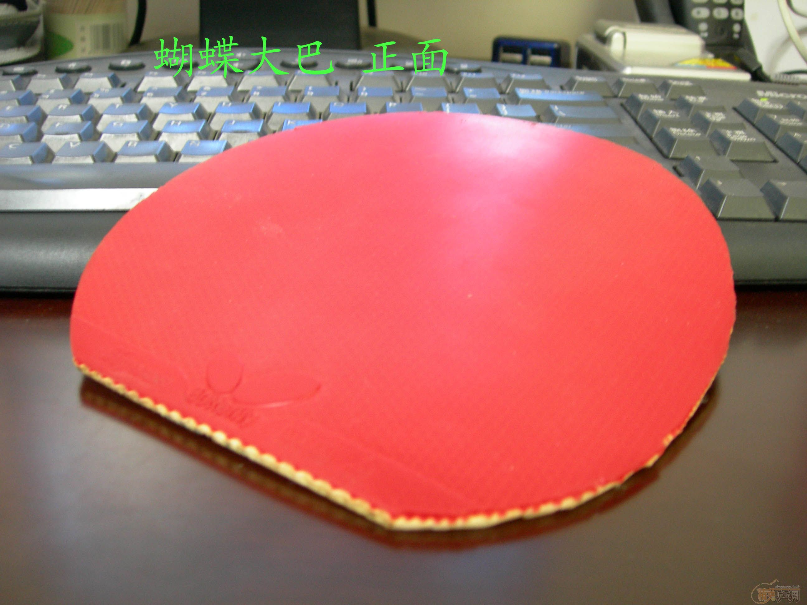 �����ͼ۳��ۼҵ� ����������������Ƥ