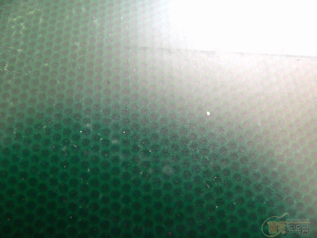 YASAKAһ�����صĽ�Ƥ��