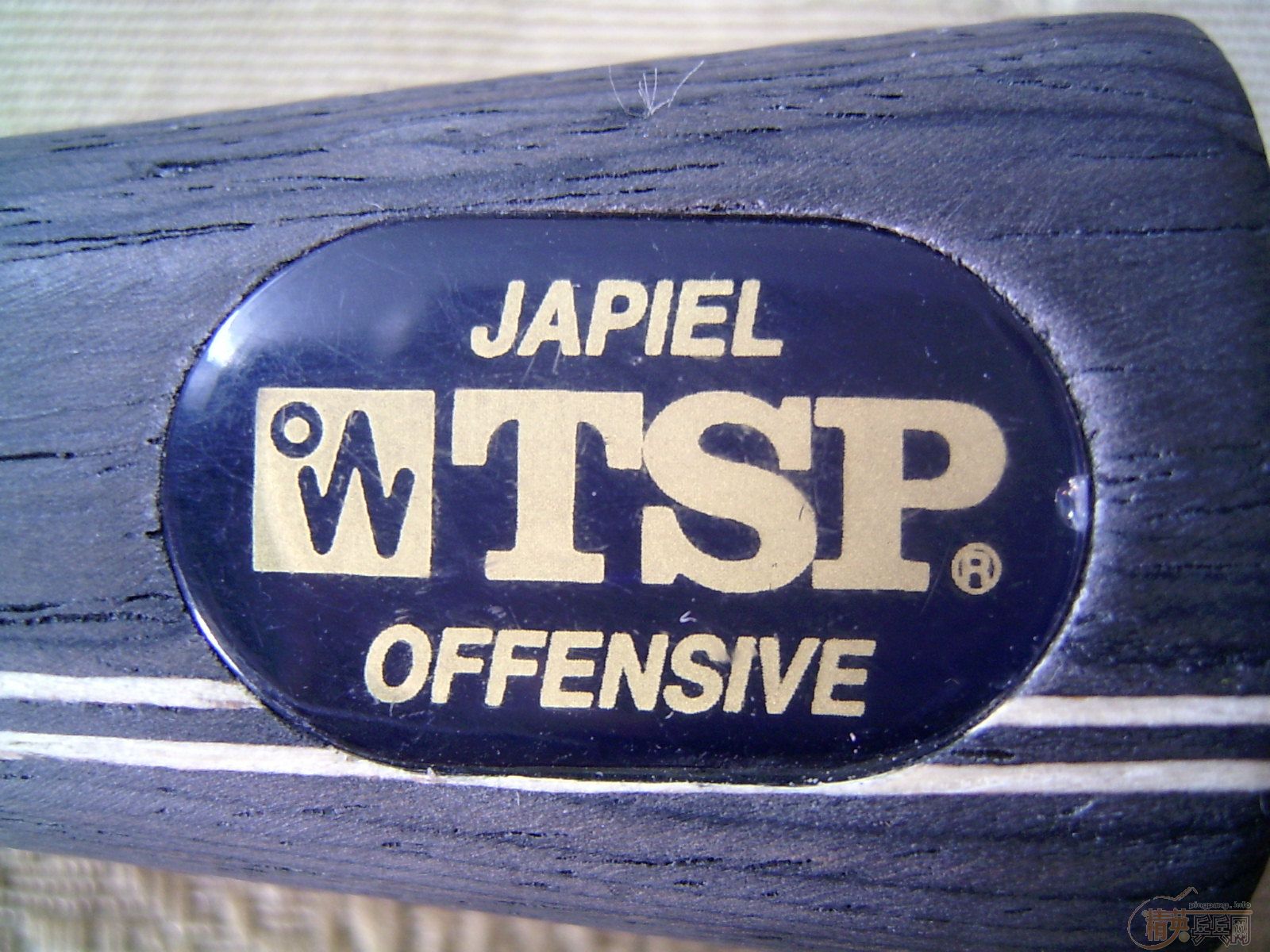 TSP japielר ͼ