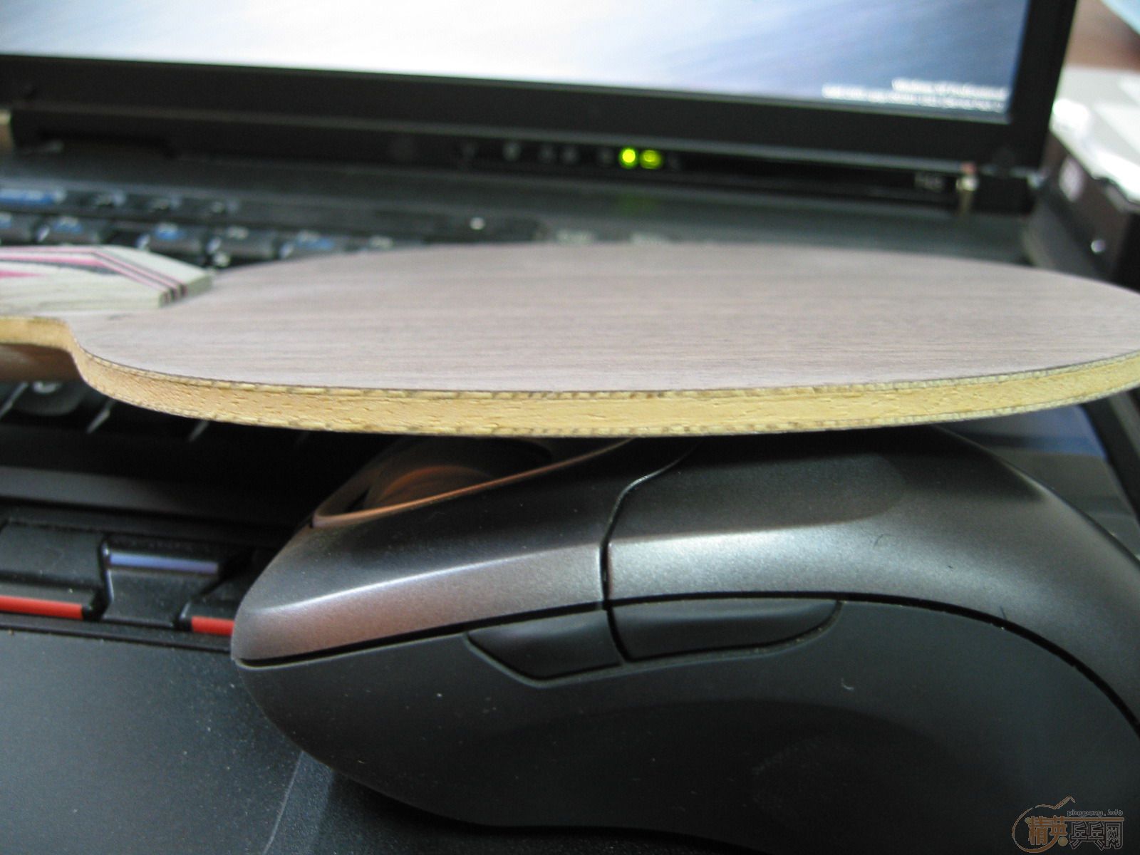 [֧����]Stiga �� 5.4 Master������WRB����500��˳��