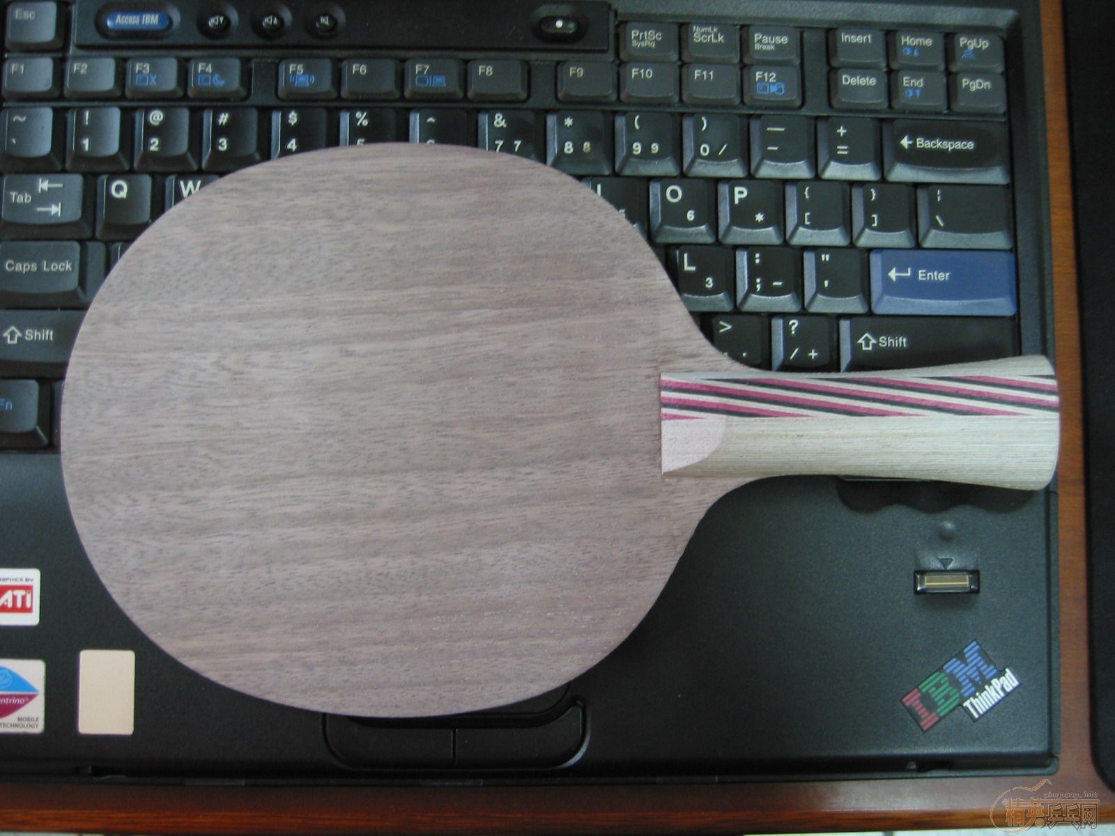 [֧����]Stiga �� 5.4 Master������WRB����500��˳��