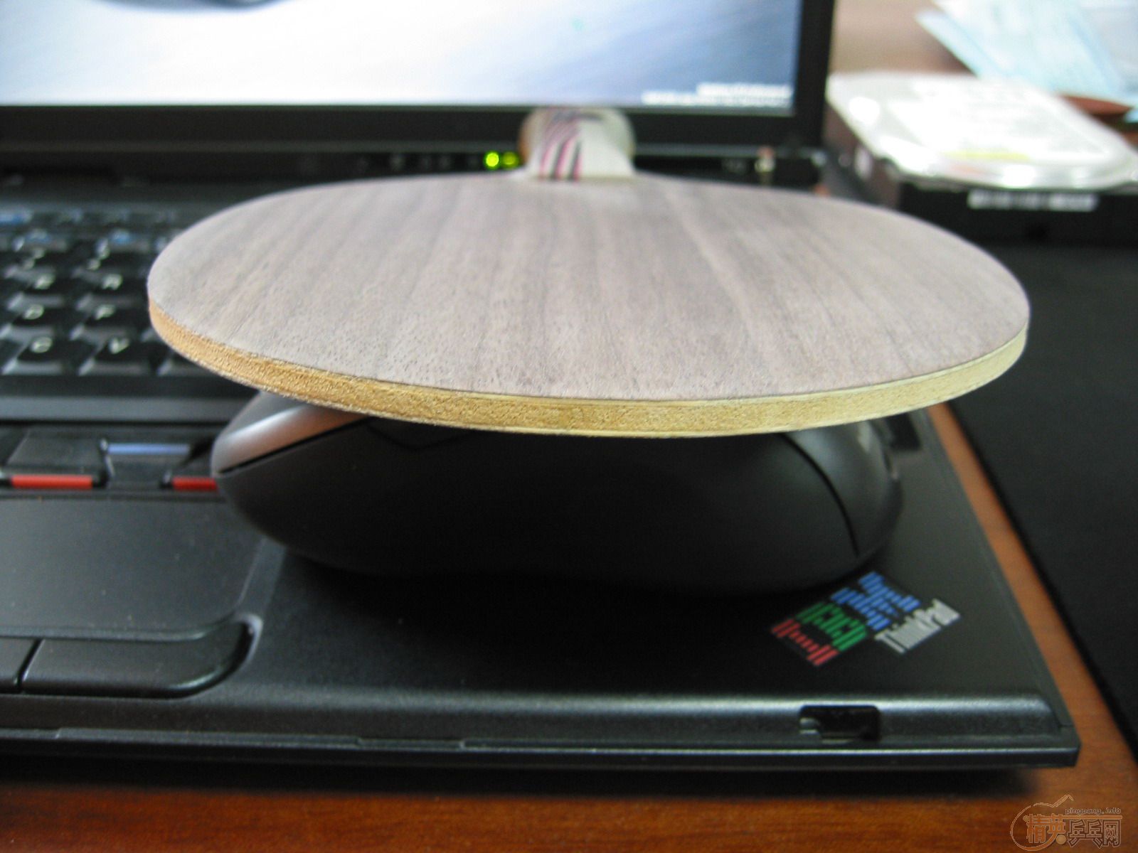 [֧����]Stiga �� 5.4 Master������WRB����500��˳��