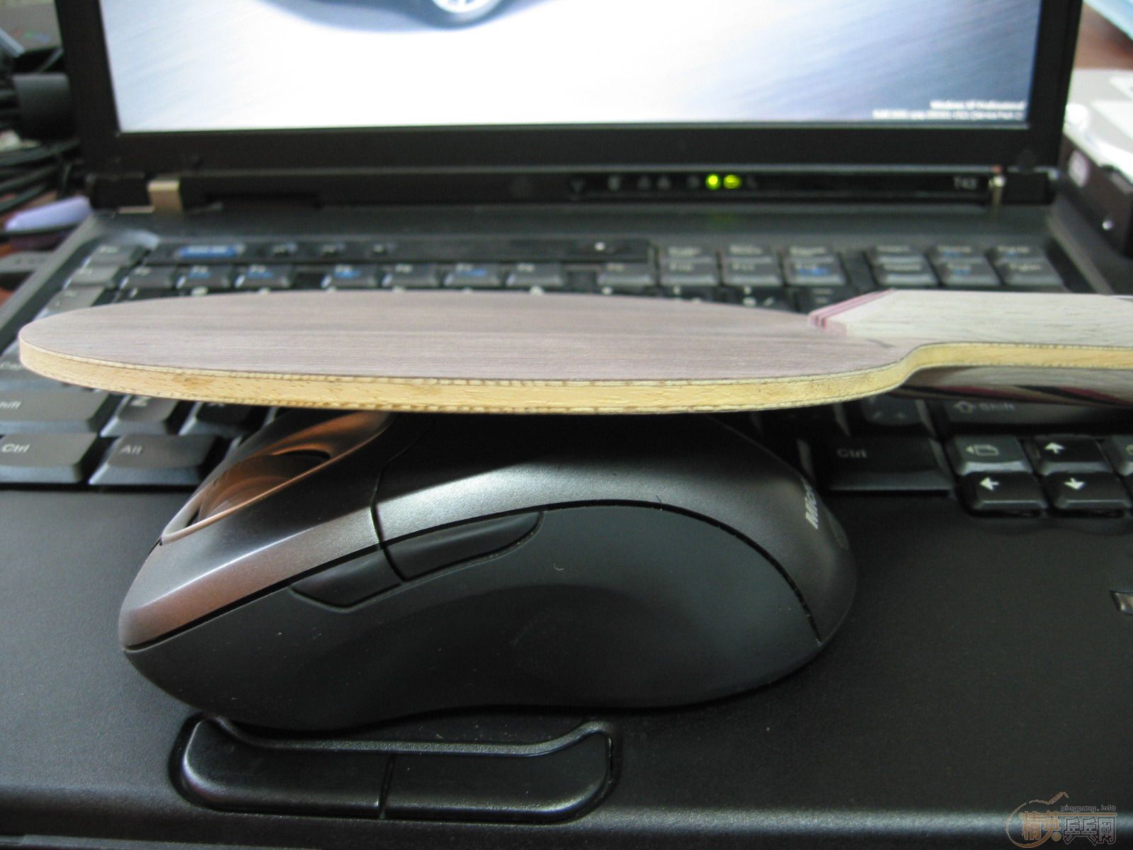 [֧����]Stiga �� 5.4 Master������WRB����500��˳��