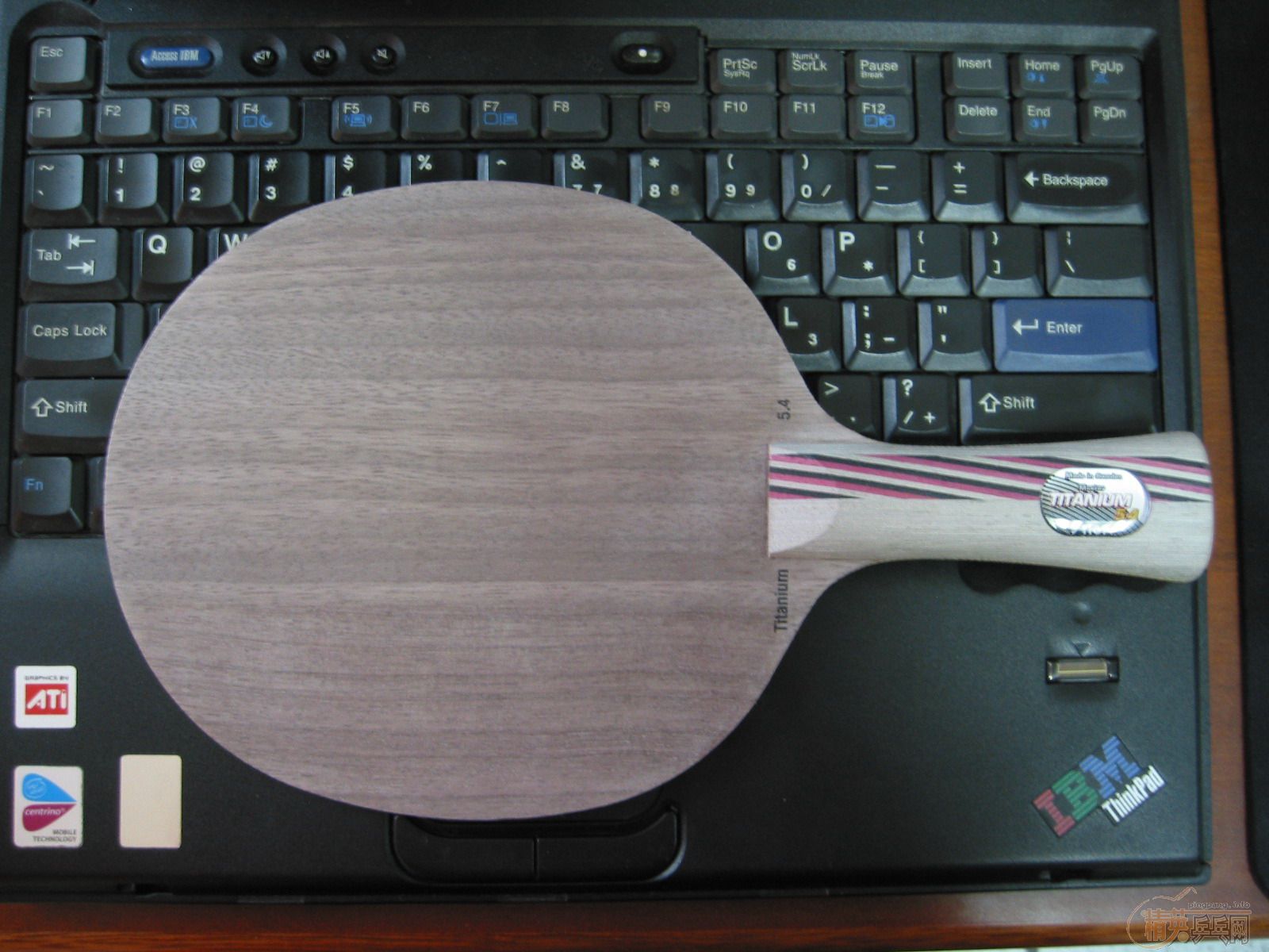 [֧����]Stiga �� 5.4 Master������WRB����500��˳��