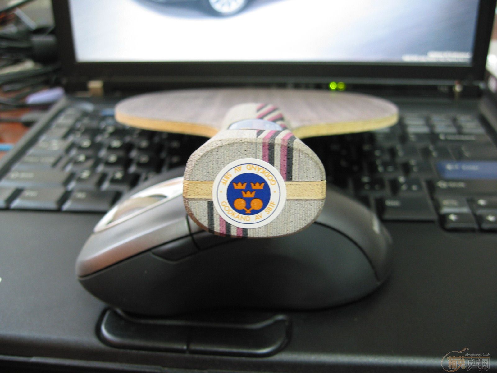 [֧����]Stiga �� 5.4 Master������WRB����500��˳��