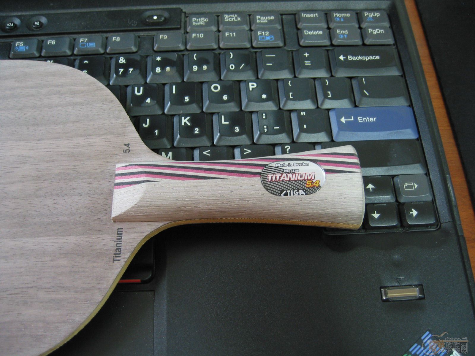 [֧����]Stiga �� 5.4 Master������WRB����500��˳��