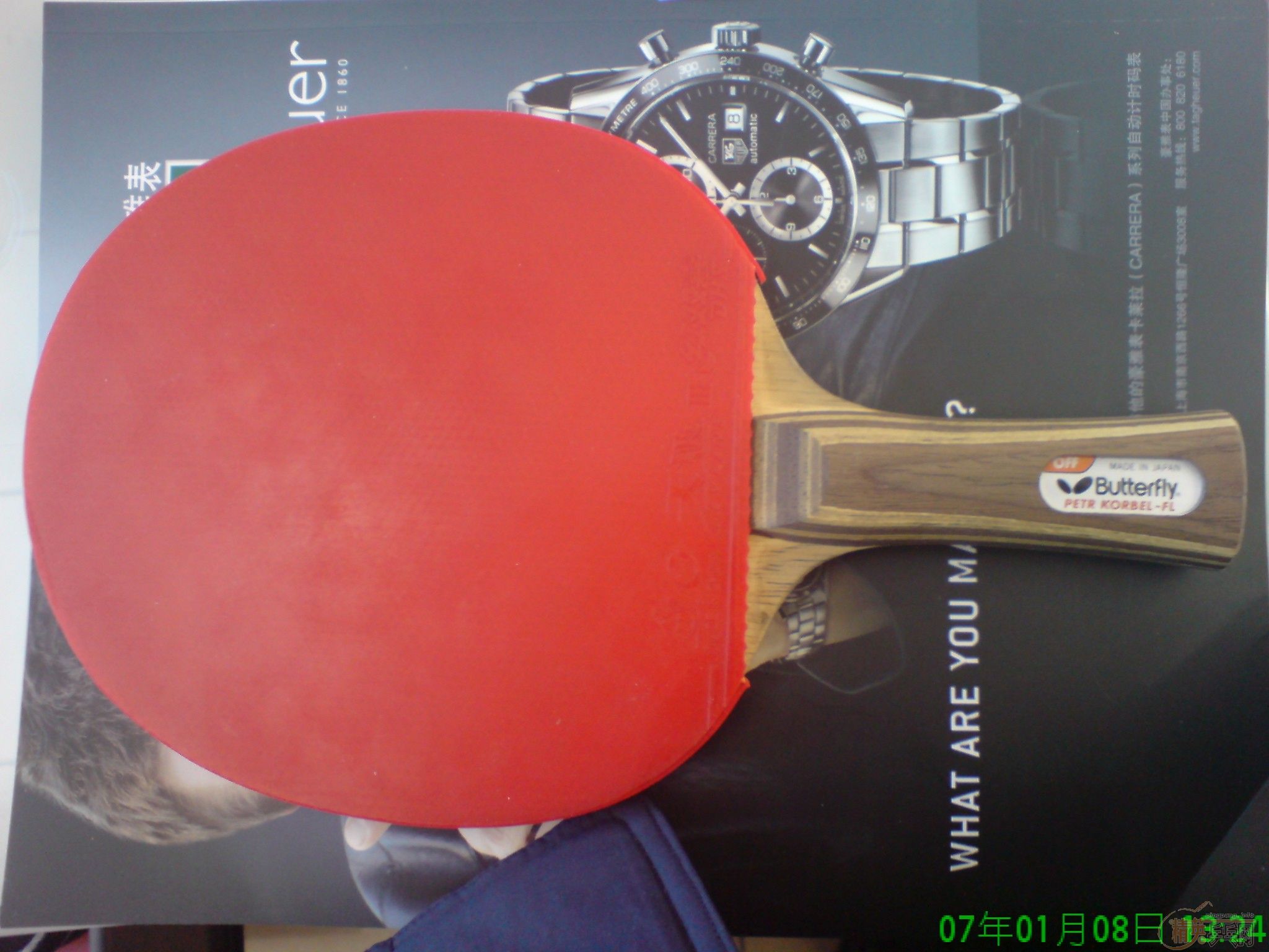 ���ۺ��Ʊ���һ֦��Ҳ���Խ�����