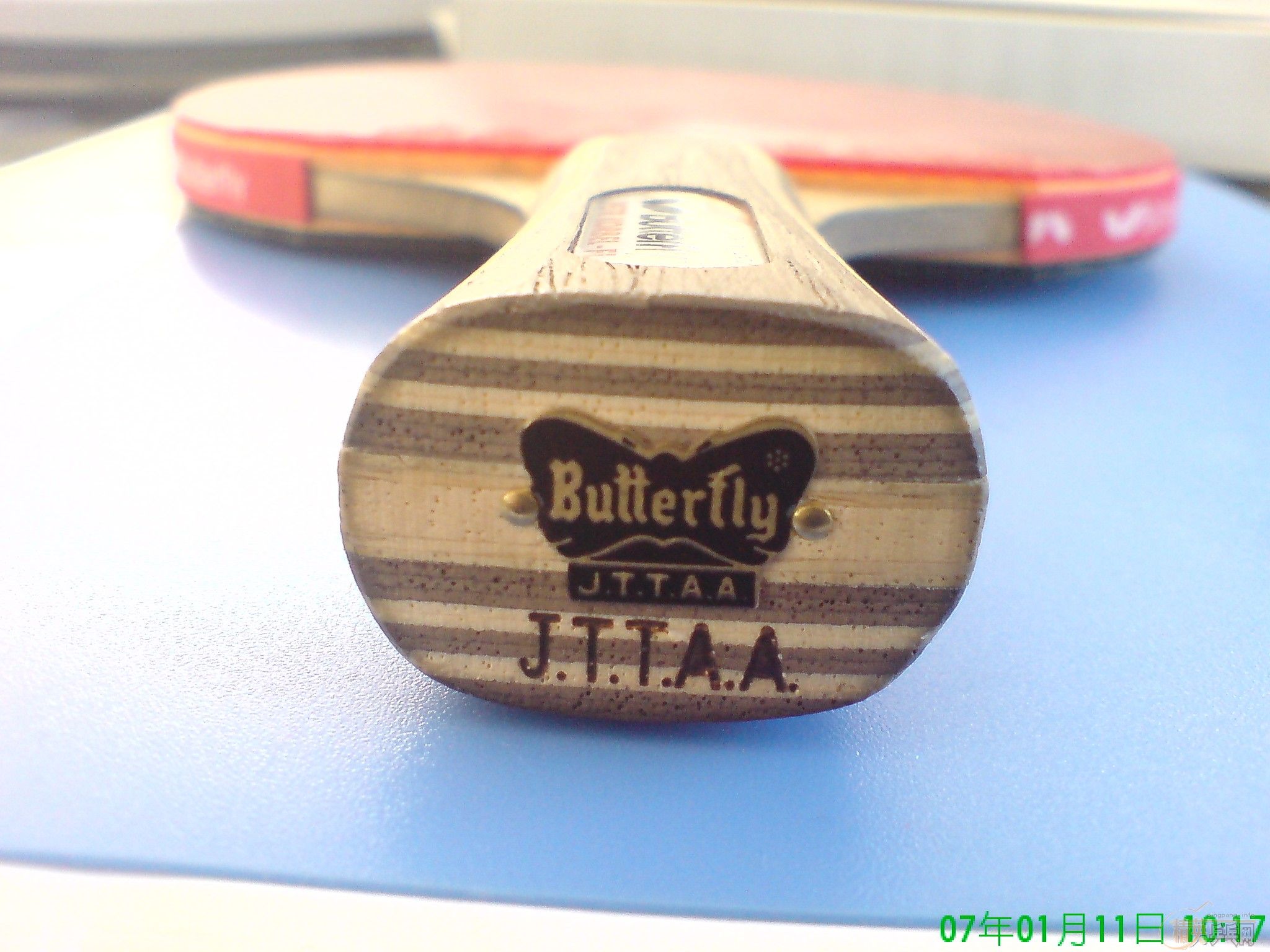 ���ۺ��Ʊ���һ֦��Ҳ���Խ�����