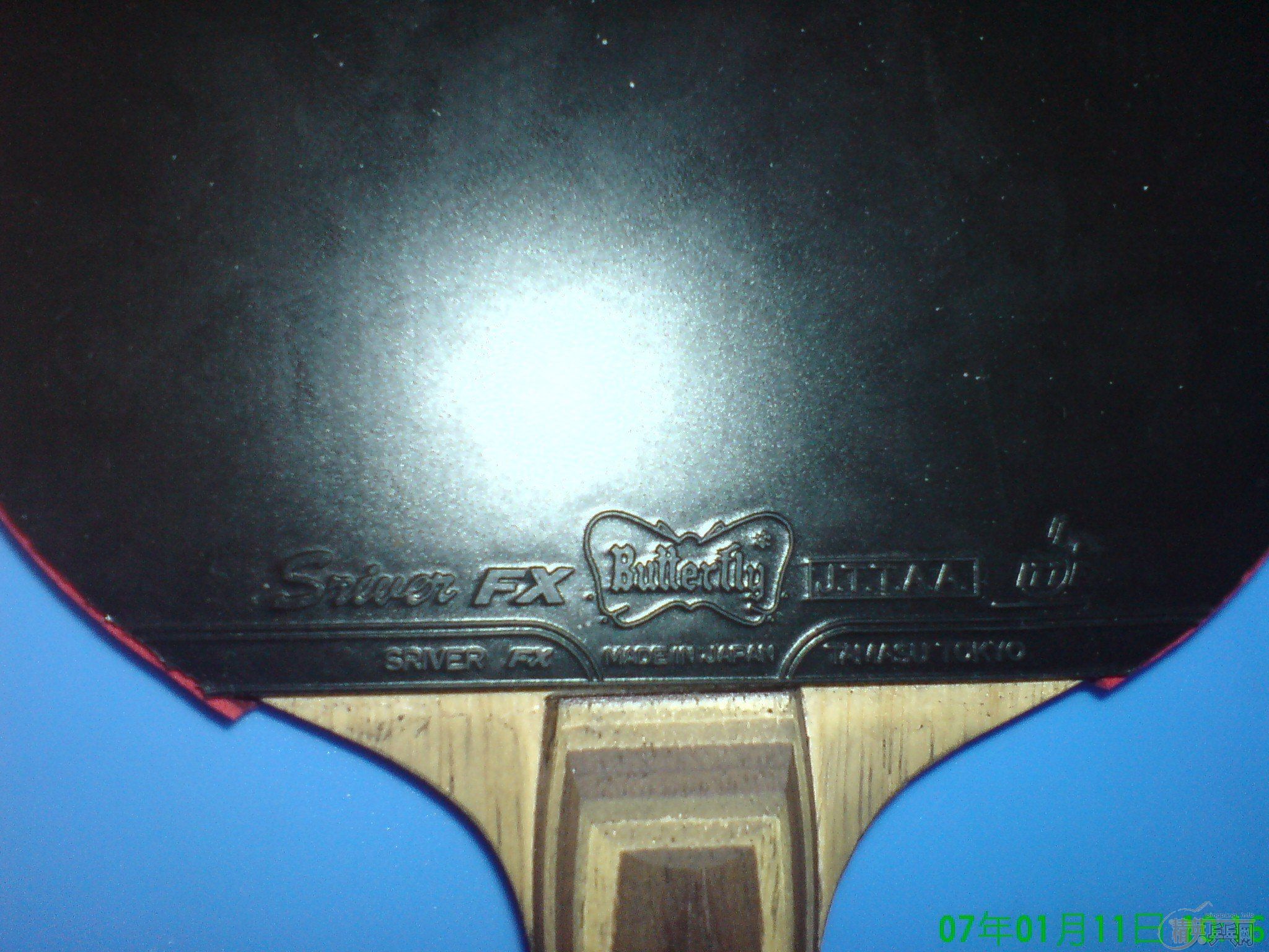 ���ۺ��Ʊ���һ֦��Ҳ���Խ�����