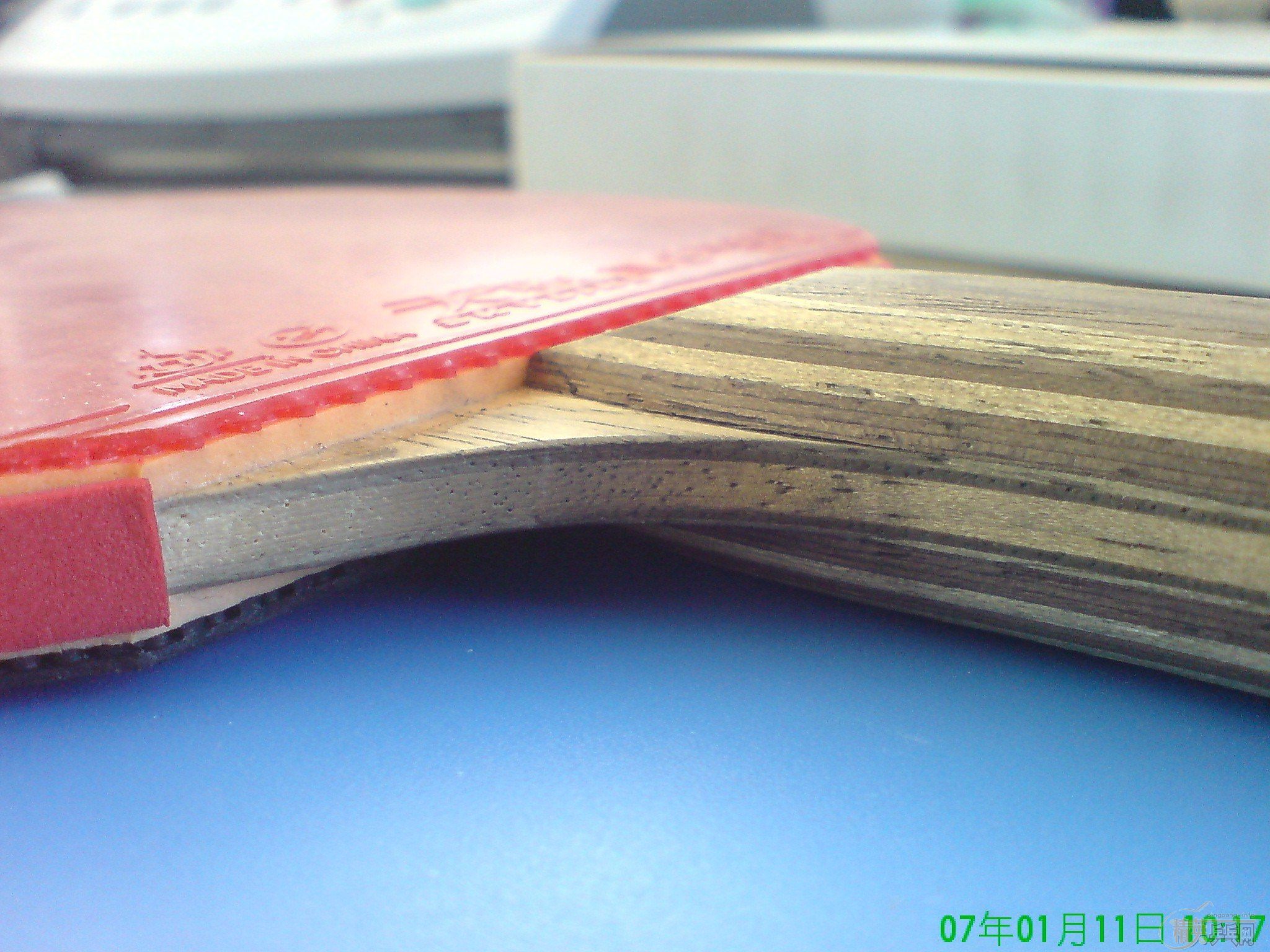 ���ۺ��Ʊ���һ֦��Ҳ���Խ�����