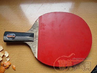 ��ֱ��˹�Ͽ���������TO