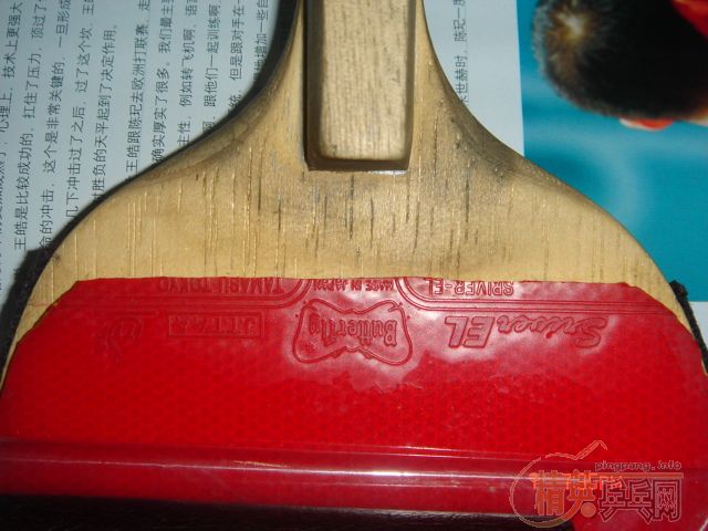 ˳ӻǮǮܵϣ
