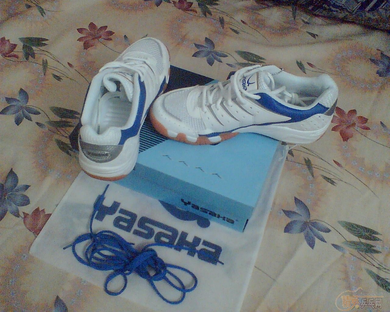 [ԭ]yasakaƹЬƯ.......