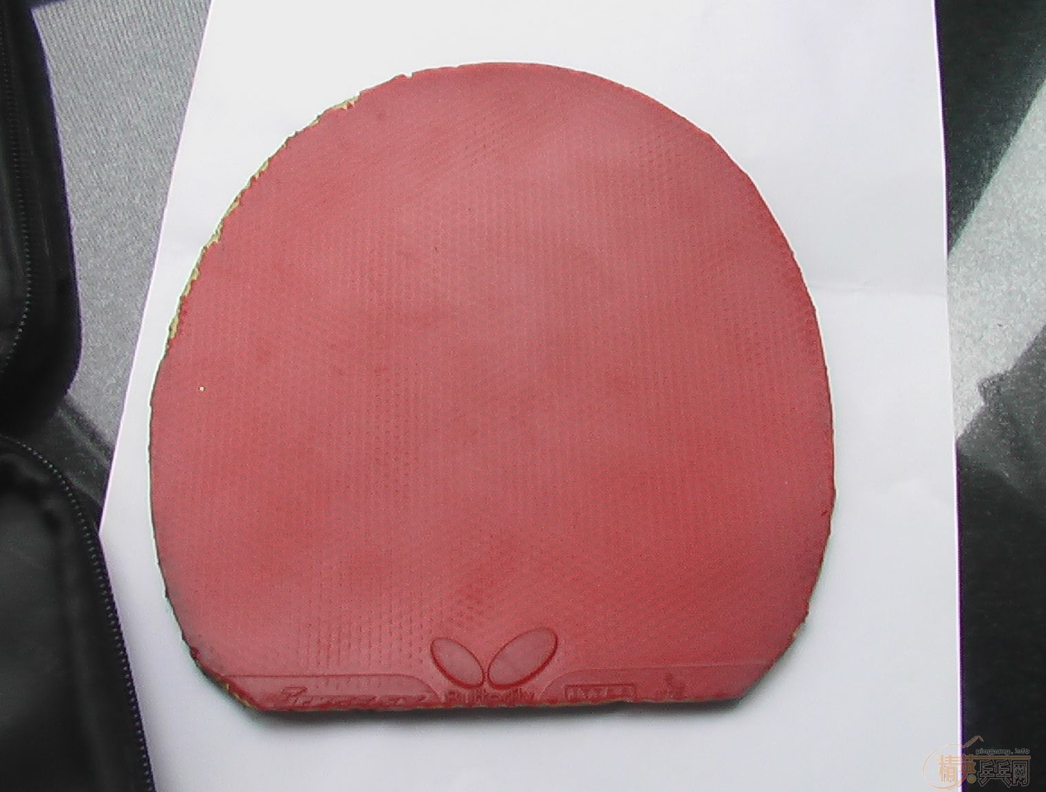 ���ʣϣϣ̣����ˣ�(�ʹ�B-FX)����B�Ƚ�����