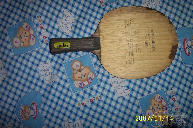 ���˳��򽻻�99�³���C�ȼ����������