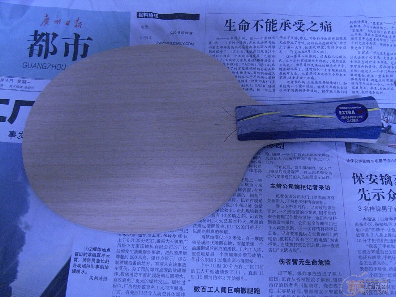 ŷ��ye3d��FL�����������