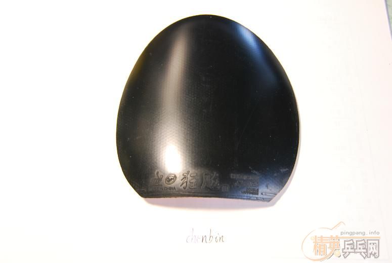 ���֣ϣû���������