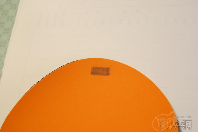 ���֣ϣû���������