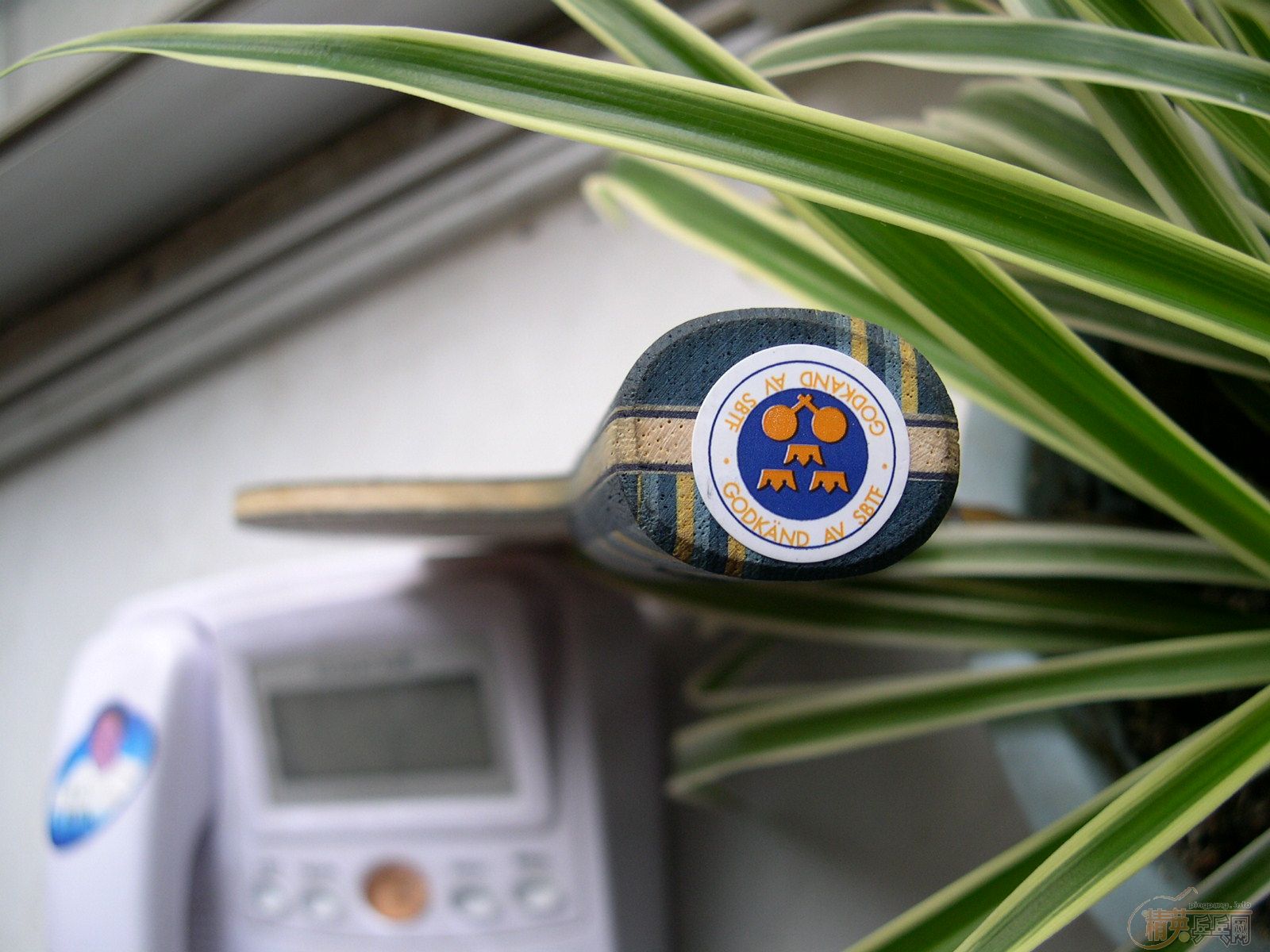 �����ѳ�һ��˹�ۿ� Energy Wood WRB (Eg-WRB)220Ԫ