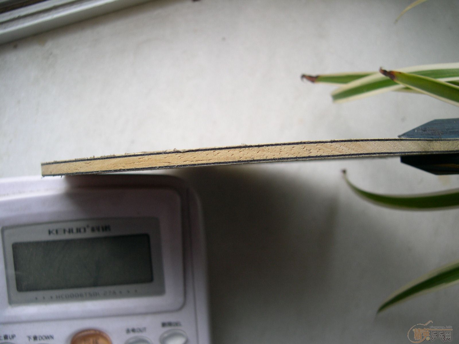 �����ѳ�һ��˹�ۿ� Energy Wood WRB (Eg-WRB)220Ԫ