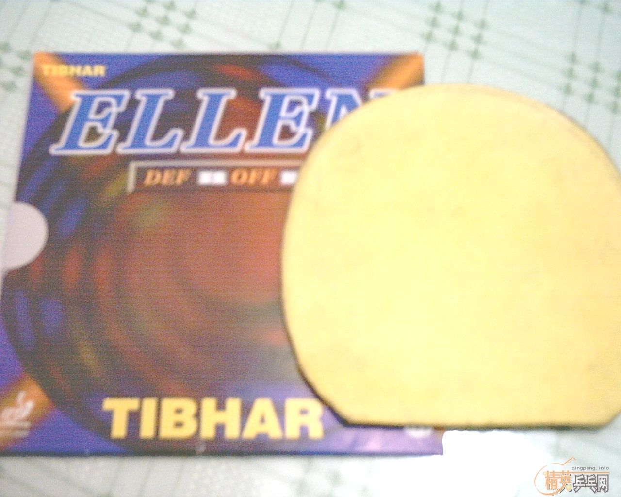 �����������׽�