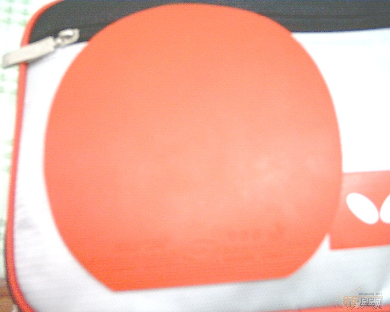 �����������׽�