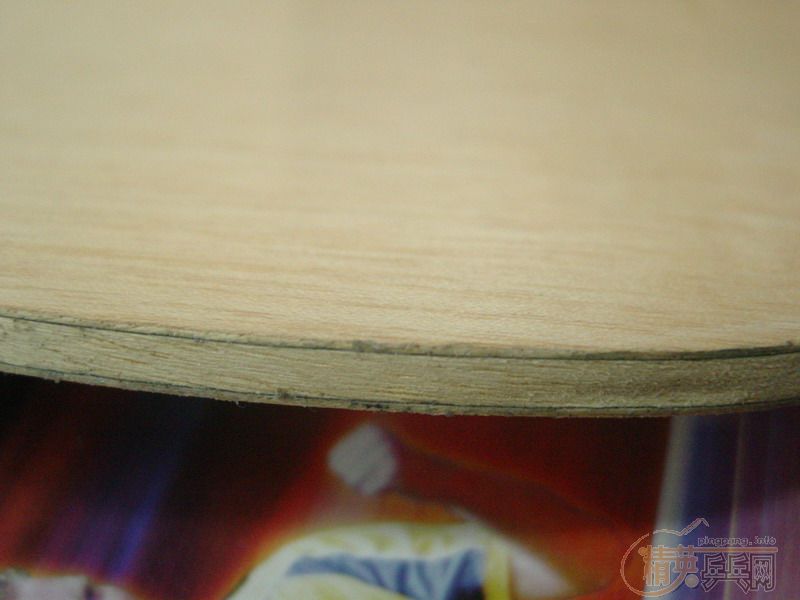 ��һ��YSC��YASAKA ��̿��9����,350