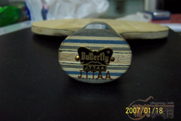 ��β��˦��������9.5�³�ֵ