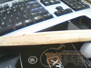 FL(MASTER)��TO�ᣬ220Ԫ����