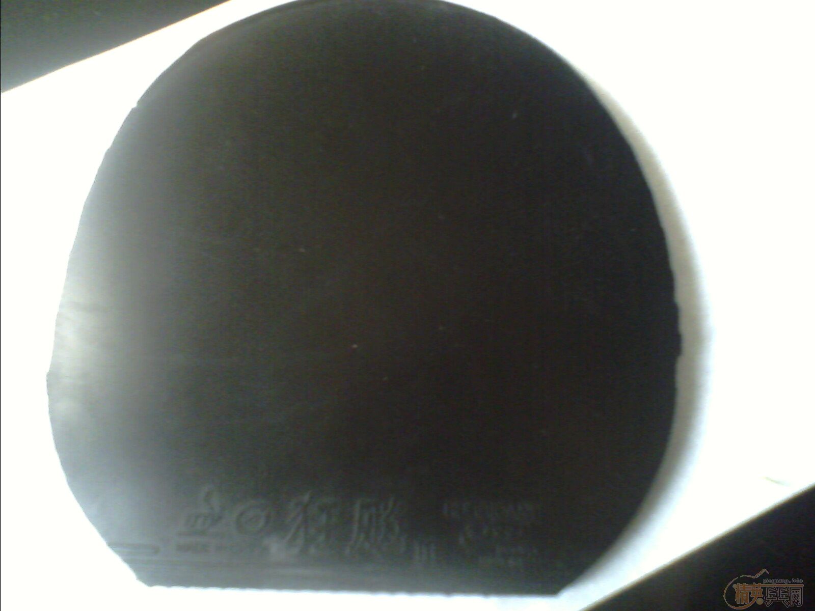 [ԭ��]����רҵ�ӹ�������9.8����\˹�ۿ����̼��7.6