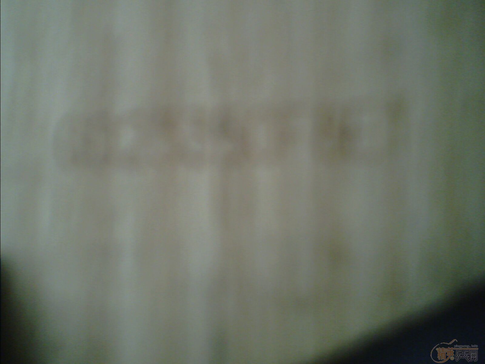 [ԭ��]����רҵ�ӹ�������9.8����\˹�ۿ����̼��7.6