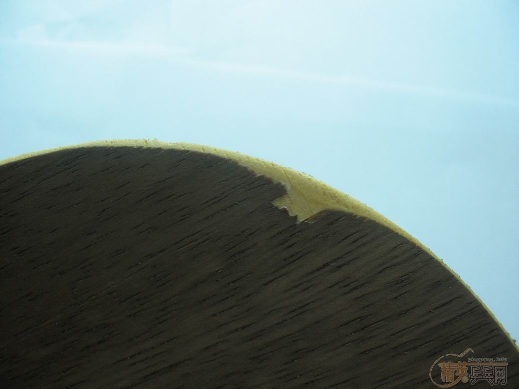 �� UO 230Ԫ��CL CR 250Ԫ