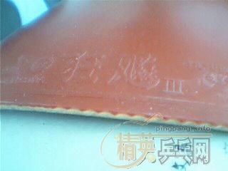 ������һ��95��2.15��41�Ⱥ�ɫ��3��ֻ�Ͳ���