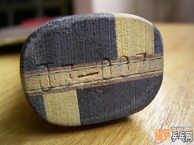 ��ʡ��רҵ�ӿ�����������һֻ������