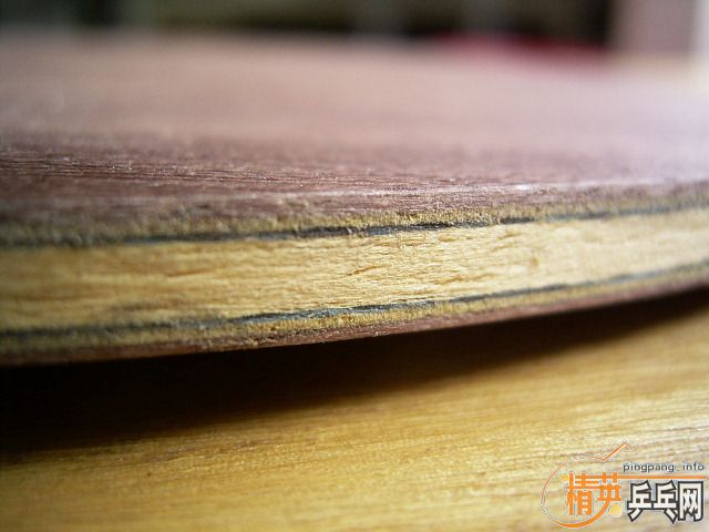 ��ʡ��רҵ�ӿ�����������һֻ������