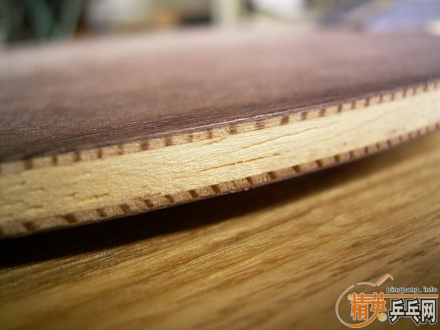 ��ʡ��רҵ�ӿ�����������һֻ������