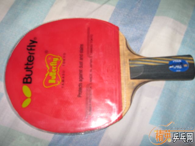 ���ų���ֱEG