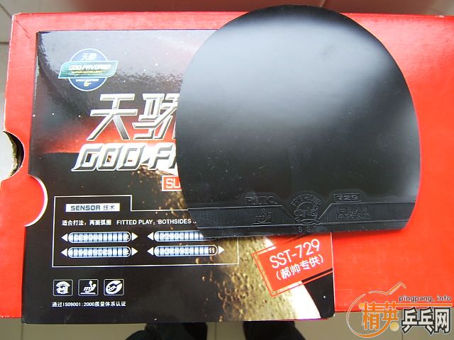 �����ֺ���ֱ��Ⲯ������������